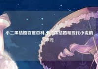 小二黑结婚百度百科,小二黑结婚和现代小说的不同