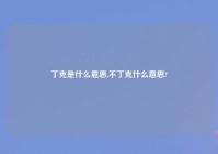 丁克是什么意思,不丁克什么意思?