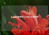 个人证书查询网入口,钳工证查询网?