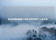 保定靠谱的婚姻介绍所,农村家里门上挂艾草?