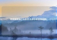 找伴旅游用什么软件,云伴小车连接说明?