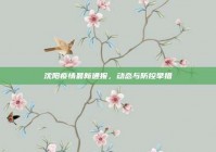 沈阳疫情最新通报，动态与防控举措