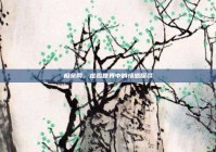 相亲网，虚拟世界中的情感探寻