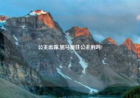 公主出嫁,驸马能住公主府吗?