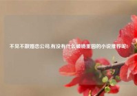 不见不散婚恋公司,有没有什么破镜重圆的小说推荐呢?