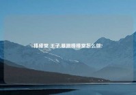 棒棒堂 王子,暴跳棒棒堂怎么做?