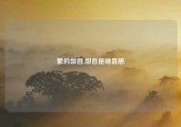 繁的部首,部首是啥意思