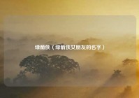 绿箭侠（绿箭侠女朋友的名字）