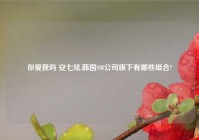 你爱我吗 安七炫,韩国SM公司旗下有哪些组合?