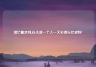 潍坊相亲网,在天津一个人一天去哪玩比较好?