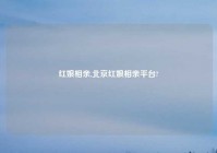 红娘相亲,北京红娘相亲平台?