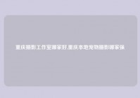 重庆摄影工作室哪家好,重庆本地宠物摄影哪家强