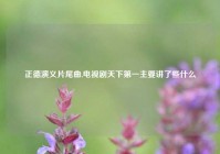 正德演义片尾曲,电视剧天下第一主要讲了些什么