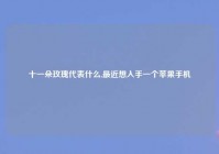 十一朵玫瑰代表什么,最近想入手一个苹果手机