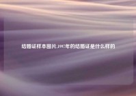 结婚证样本图片,1997年的结婚证是什么样的