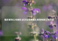 婚庆策划公司哪好,武汉花海阁婚礼策划有限公司介绍