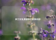 依兰交友,奥雷依兰故事内容?