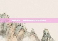 离婚官司，破碎婚姻背后的法律博弈