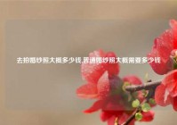 去拍婚纱照大概多少钱,普通婚纱照大概需要多少钱