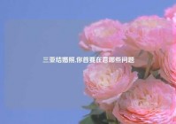 三亚结婚照,你首要在意哪些问题