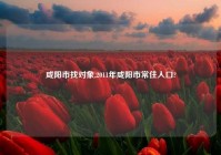 咸阳市找对象,2011年咸阳市常住人口?