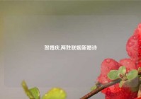 贺婚庆,两姓联姻新婚诗