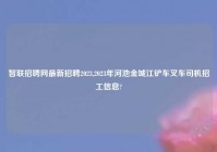 智联招聘网最新招聘2023,2023年河池金城江铲车叉车司机招工信息?