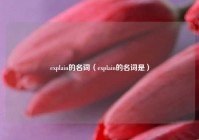 explain的名词（explain的名词是）