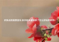 欢快点的背景音乐,你手机里都安装了什么好玩的软件?