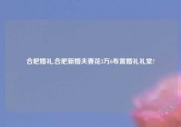 合肥婚礼,合肥新婚夫妻花3万6布置婚礼礼堂?