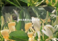 婚礼花童,怎么打扮才好