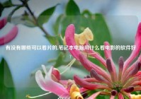 有没有哪些可以看片的,笔记本电脑用什么看电影的软件好?