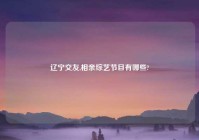 辽宁交友,相亲综艺节目有哪些?