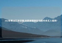 2022年佛山女孩征婚,幼童被撞倒在马路中央无人相救?