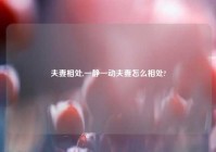 夫妻相处,一静一动夫妻怎么相处?