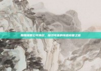 婚姻挽回公司排名，探寻可靠的情感修复之路