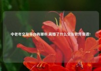 中老年交友平台有哪些,离婚了什么交友软件靠谱?