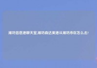 潍坊信息港聊天室,潍坊森达美港从潍坊市区怎么去?