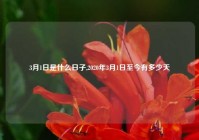 3月1日是什么日子,2020年3月1日至今有多少天