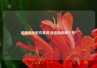 陌陌交友软件靠谱,连信陌陌哪个好?