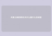 夫妻之间的单词,夫什么妻什么目成语