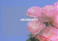 夜聊,闺蜜群聊名称