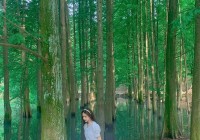 例外摄影风格揭秘，带你走进不一样的世界！