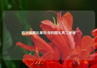 哈尔滨婚礼策划,你的婚礼男二是谁