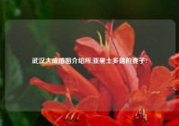 武汉大成婚姻介绍所,亚里士多德的妻子?