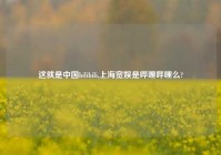 这就是中国bilibili,上海宽娱是哔哩哔哩么?