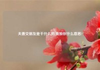 夫妻交朋友是干什么的,我加你什么意思?