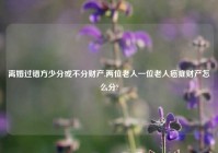 离婚过错方少分或不分财产,两位老人一位老人癌症财产怎么分?