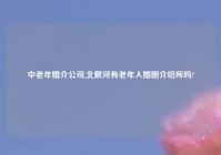 中老年婚介公司,北戴河有老年人婚姻介绍所吗?