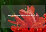 婚恋交友微信群,想开个婚恋公司怎么做?